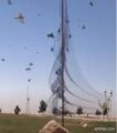 “الحياة الفطرية” تصدر بيانًا للتعقيب على مقطع نصب شباك لصيد الطيور بأحد المتنزهات