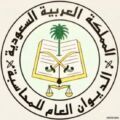 ديوان المحاسبة: بدء التسجيل في المرحلة “4” لتدريب منسوبي الأجهزة الحكومية