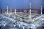 أئمة المسجد النبوي في رمضان: الحذيفي وآل الشيخ للتراويح والبدير والقاسم للشفع والوتر