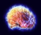 علماء يتوصلون إلى علاج مرض التصلب العصبي المتعدد الذي يصيب الدماغ
