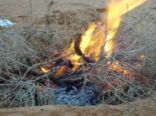 فصل الشتاء يكشر عن أنيابه في عفيف .. والمواطنون يلجأون للفروة وشبة النار