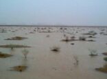 هطول أمطار غزيرة على محافظة عفيف بعد عاصفة رملية يوم الخميس بالصور