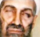 صورة بن لادن تحير العالم والفبركات مستمرة ..!!