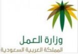 وزارة العمل تطالب بتسجيل السعوديين في التأمينات والتأكد من بيانات الوافدين