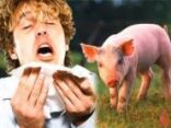 وفاة الحالة الثانية بأنفلونزا الخنازير