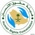 هيئة حقوق الإنسان : رصد 350 اعتداء على المرأة والطفل في عام