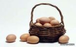 تناول البيض بعد يومين من إنتاجه .. أفضل صحيا