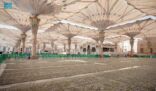 بجودة عالية وبمواصفات فنية دقيقة 25 ألف سجادة بالمسجد النبوي