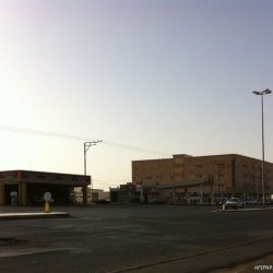 العربي وبن جاسم الى نيويورك السبت لإبلاغ مجلس الأمن بقرار الجامعة حول سوريا