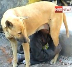 وزارة التجارة تمنع المطاعم من فرض أي رسوم إضافية على الوجبات وتمهلهم 60 يوماً