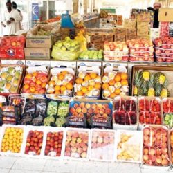 «التدريب التقني» تضع لائحة لـ«الشهادات الاحترافية» من دون تحديد أسعار