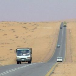 سقوط قتلى في “جمعة عذرا حماة” وروسيا ترفض مشروع القرار الأممي المعدل