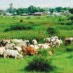 الإفراج عن السعوديين الثلاثة المختطفين في اليمن اليوم