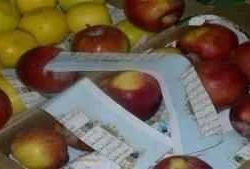 بعد “كاشغرى”.. “مسيحي سعودي” يتطاول على الذات الإلهية والنبى والأسرة الحاكمة