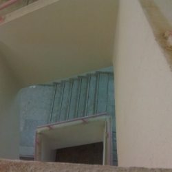 امريكي يفكر 50 عاماً للزواج من حبيبته