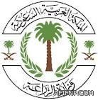 فتح باب التسجيل بالقوات البحرية (دبلومكليه تقنيهمعهد الادارهالمعهد المهني).