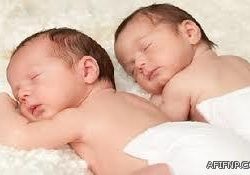 القوس في لقاءة الأول مع طلاب الدبلومات