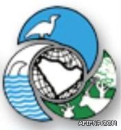 كلاكيت ثالث مرة..تهشيم زجاج سيارة معلم في ثانوية عفيف