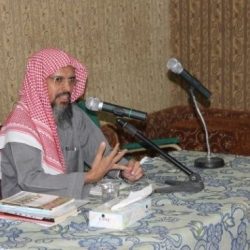 منى عبد الغنى تعود للغناء