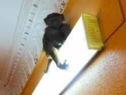 الفرصة مازالت مهيأة لهطول أمطار اليوم على أجزاء من وسط المملكة وشرقها