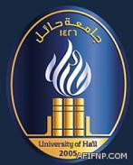 «الاتصالات» تتيح مكالمات ورسائل وإنترنت مجاناً وبلا حدود