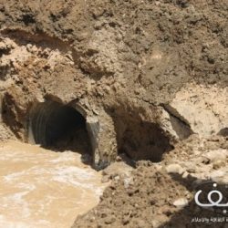 نصيحة طبية بالإكثار من تناول “الموز” لتذكر الأحلام