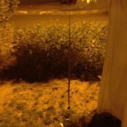 وزارة الشؤون البلديه تقر السجن والغرامة لـ”مزوري” الانتخابات البلدية وتطلب “كشف حساب” لمشروعات الأمانات المنفذة والمتعثرة