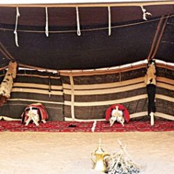 تعديلات نظامية تسند ل«الداخلية» ضبط وإيقاع العقوبات ب«العمالة السائبة» والمشغلين والمتسترين والناقلين لهم