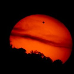 أفعى تقتل قسا كان يقدم عظاته مستعيناً بها