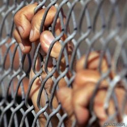 التشهير بمزيد من التجار المخالفين خلال أيام