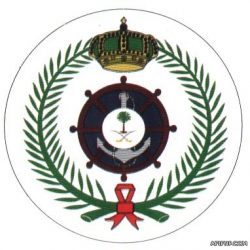 أحقية المجالس البلدية في التعليق على نزع الملكية وفرض الغرامات في نظام المجالس البلدية الجديد