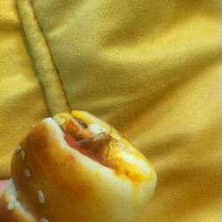 «المخطط الإقليمي»لمنطقة الرياض يستشرف مستقبل العاصمة ومحافظاتها بنظرة تخطيطية بعيدة