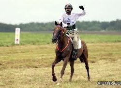 وظائف شاغره بالحرس الملكي لخريجي الثانوية العامه ومايعادلها