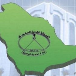 أم تلقي بأطفالها الخمسة من الدور الرابع