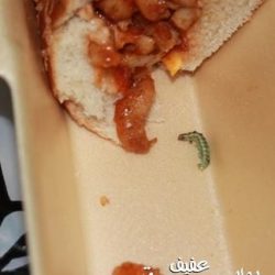 الدفاع المدني يستقبل طلبات الراغبين في العمل سائقين مؤقتين في موسم الحج