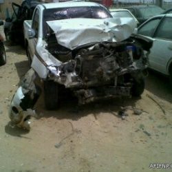 جمال سائبة تعترض طريق عفيف – ضريه  والاهالي يطالبون المسئولين بإبعادها حفاظا على سلامة المسافرين