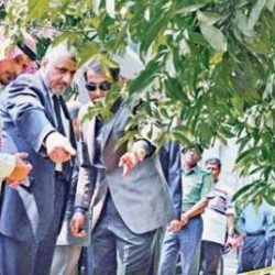 وزارة النقل تحدد غرامات 173 مخالفة ل الأجرة الخاصة