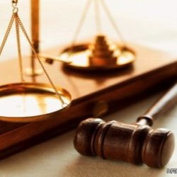 “التدريب التقني” تحظر “الاستبانات واستطلاعات”