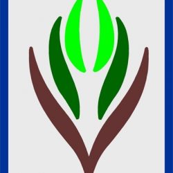 تكليف العوفي مديراً للإدارة المالية بالجامعة