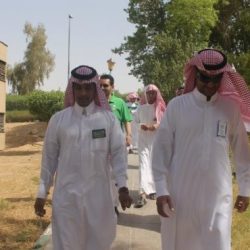 صدور قرار تعيين 350 من منسوبي التربيه على المستوى السادس ومعلم ومعلمه في محافظة عفيف