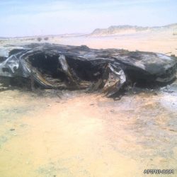 ايقاف “معاكس” النساء في سوق عفيف