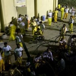 وفاة فليكس على تويتر.. والمعزون لوالدته: إن شاء الله آخر الأحزان