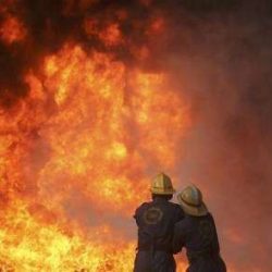 ضبط 281 حاجاً في الدوادمي بدون تصريح