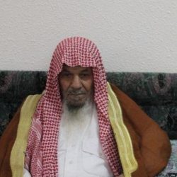 رؤية النمر العربي في جبال منعاء بتنومة