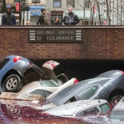 المعتقلون السعوديون في سجون العراق حاليا 38 فقط