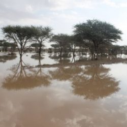 لحشيبري في برنامج إدارة الجودة الكلية بالرياض