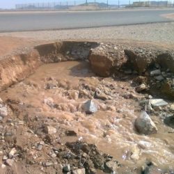 اصابة شاب في العقد الثالث من عمره بعد اصطدام مركبته بأحد الجمال السائبة بالقرب من العيدانية