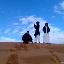 اعادة هيكله وانشاء ادارات واقرار برنامج التحضيرية … في مجلس جامعة شقراء