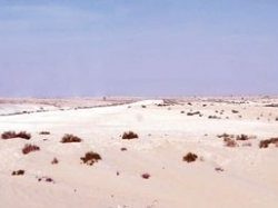 هدف : رفض طلبات مليون متقدم على برنامج حافز