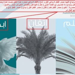 تمويل 650 مشروعا “متعثرا” من فائض الميزانية